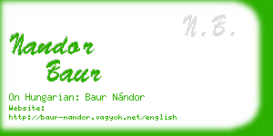 nandor baur business card