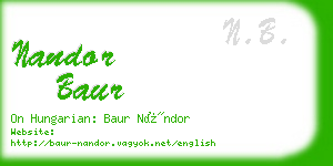 nandor baur business card